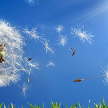 allergies-870×428 Insurance-monticello ny