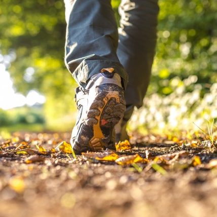 hiking-870×428 hiking