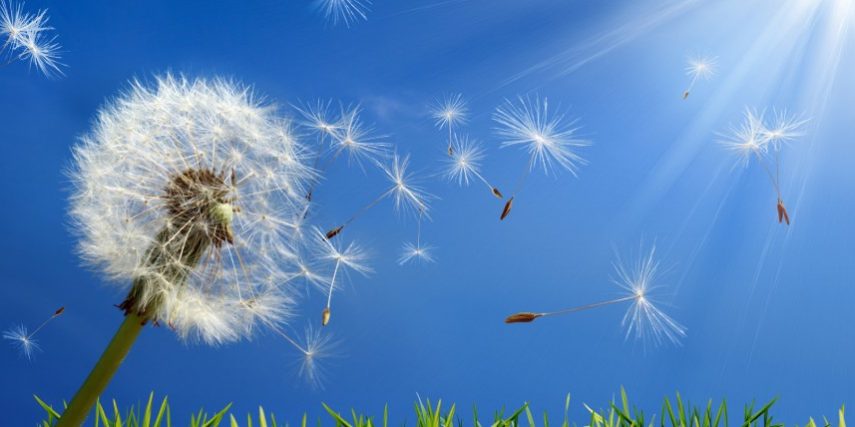 allergies-870×428 Insurance-monticello ny